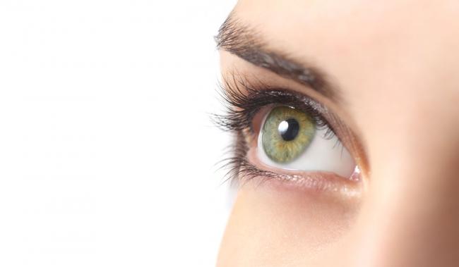 &Alpha;&pi;&omicron;&kappa;&omicron;́&lambda;&lambda;&eta;&sigma;&eta; &Upsilon;&alpha;&lambda;&omicron;&epsilon;&iota;&delta;&omicron;&upsilon;́&sigmaf;